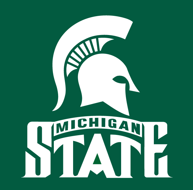 Michigan State Spartans 1987-Pres Alternate Logo v2 diy iron on heat transfer